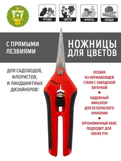 Распродажа