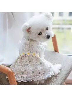 Скидка на Платье для собак и кошек