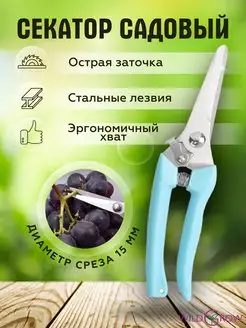 Распродажа