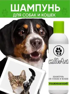 Отзыв на 