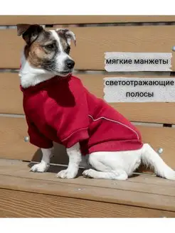 Отзыв на 