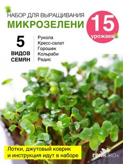 Скидка на Микрозелень набор для выращивания растений Семена для проращивания микрозелени 15 урожаев