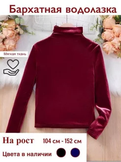 Отзыв на 