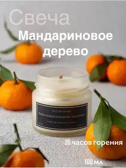 Отзыв на 