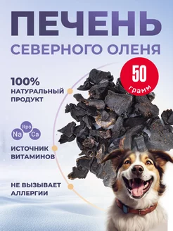 Отзыв на 