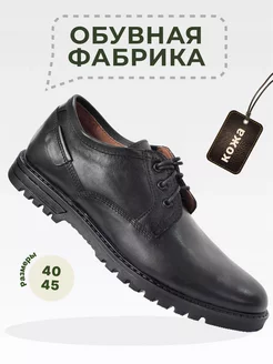 Отзыв на 