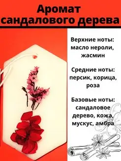 Отзыв на 