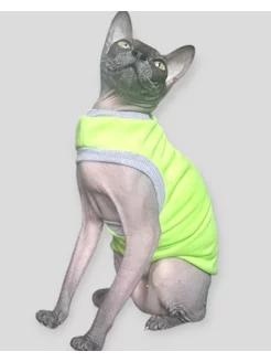 Отзыв на 