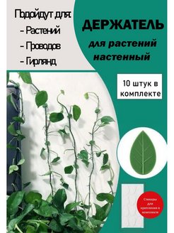 Отзыв на Опора для цветов настенная
