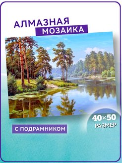 Скидка на Алмазная мозаика на подрамнике 40х50