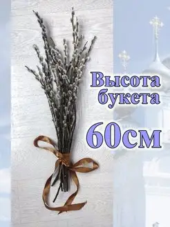 Отзыв на 