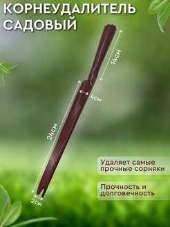 Отзыв на 