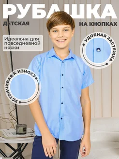Отзыв на 