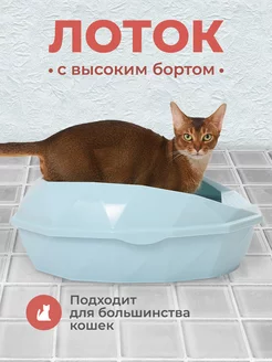 Отзыв на 