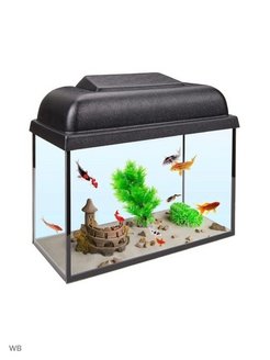 Скидка на Аквариум для рыбок 10 литров с подсветкой и крышкой