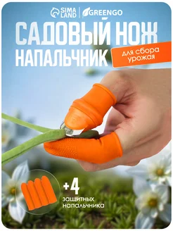 Отзыв на 
