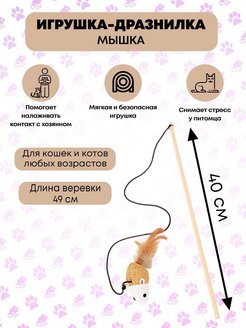 Отзыв на 