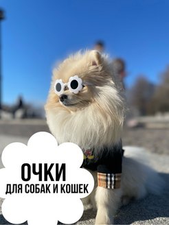 Скидка на Очки для собак для кошек