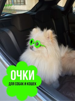 Скидка на Очки для собак для кошек