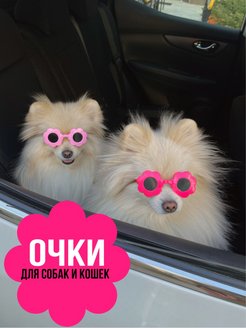 Скидка на Очки для собак для кошек