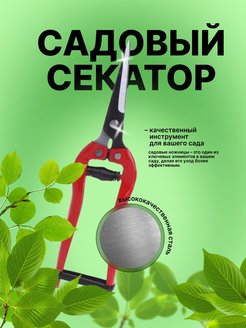 Отзыв на 