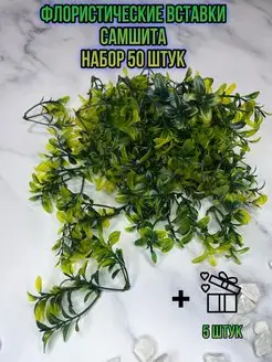 Отзыв на 