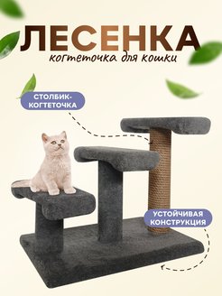Отзыв на 