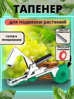 Отзыв на 