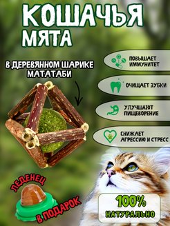 Скидка на Кошачья мята