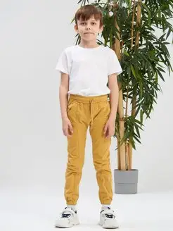 Отзыв на 