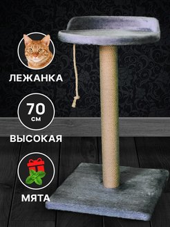 Отзыв на 