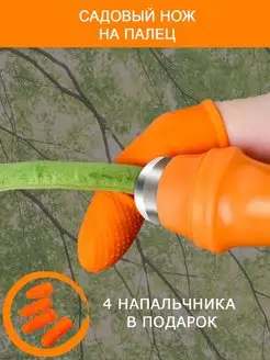 Отзыв на 