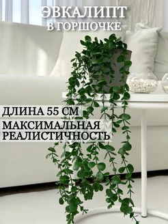 Отзыв на 