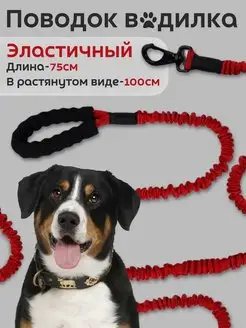 Отзыв на 