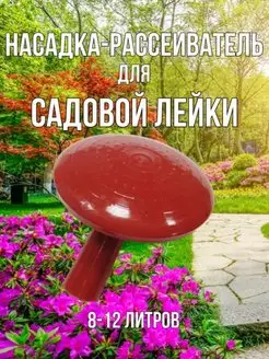 Отзыв на 