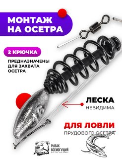 Отзыв на 