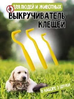 Отзыв на 