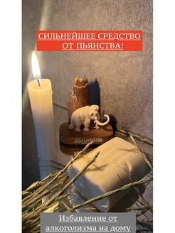 Отзыв на 