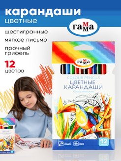 Скидка на Карандаши цветные Классические для рисования 12 цветов