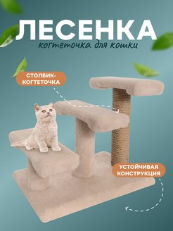 Отзыв на 