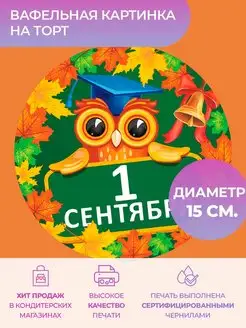 Отзыв на 