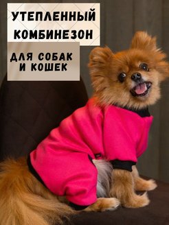 Отзыв на 
