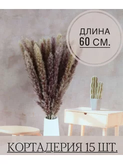 Отзыв на 