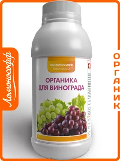 Отзыв на 