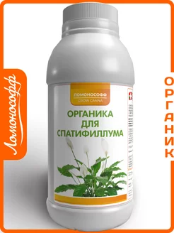 Отзыв на 