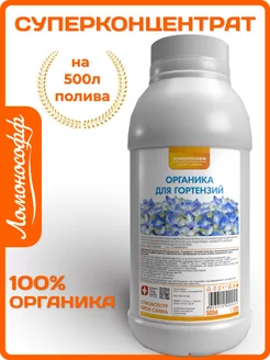 Отзыв на 