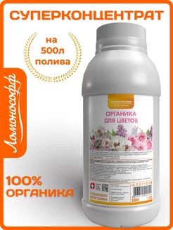 Отзыв на 