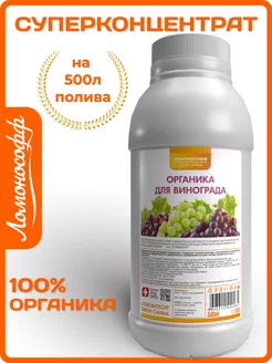 Отзыв на 