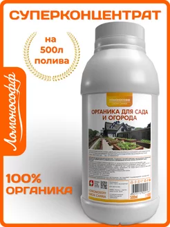 Отзыв на 