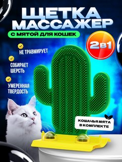 Отзыв на 